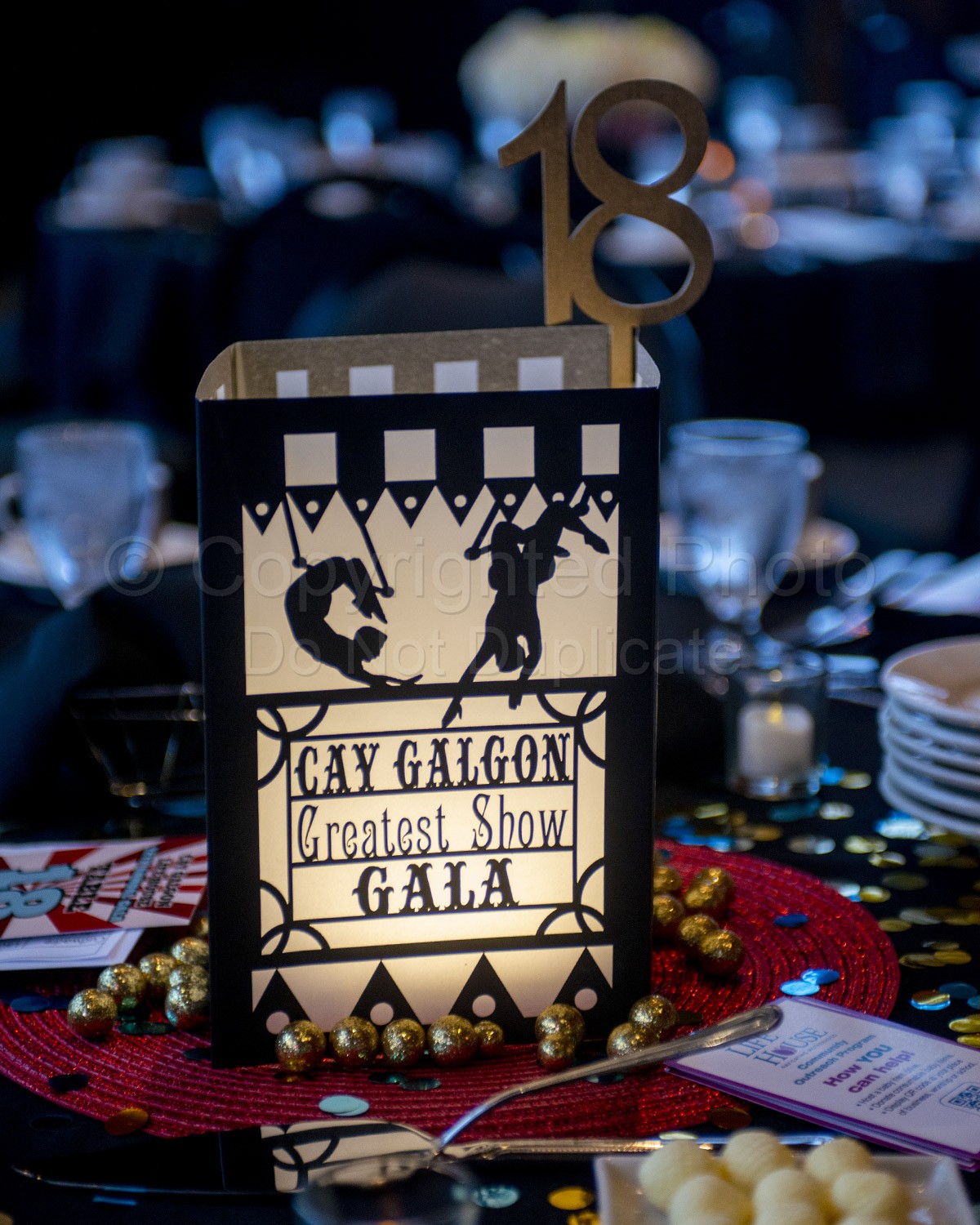 Under The Big Top - Cay Galgon's Lifehouse Annual Gala
