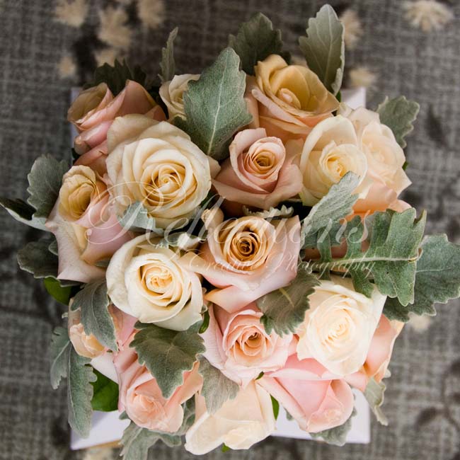 Do you have a back up plan?