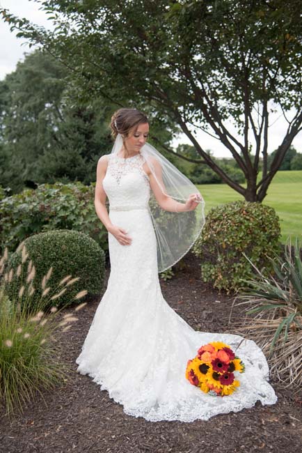 The Show Must Go On! 