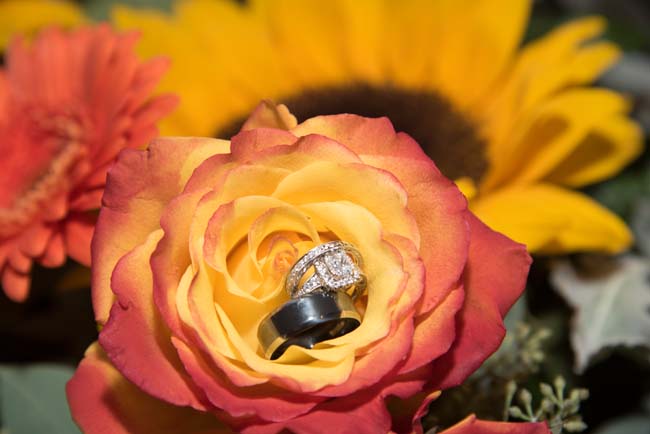 The Show Must Go On! 