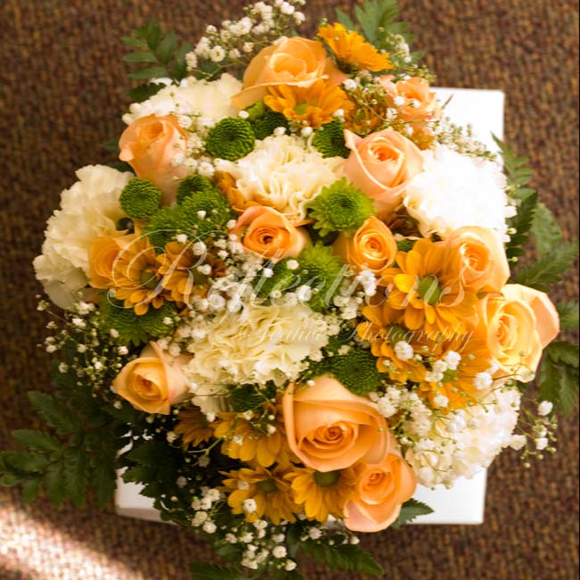 I wonder if her new last name “Marsh” had anything to do with it? 