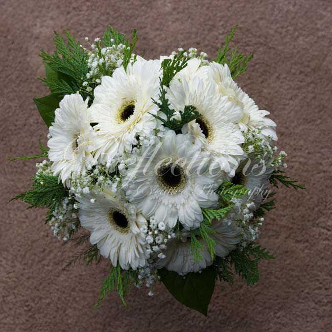 Let it Snow, Let it Snow, Let it Snow….