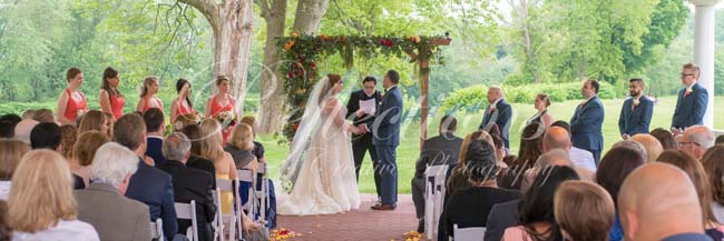 The Unicorn and The Horse