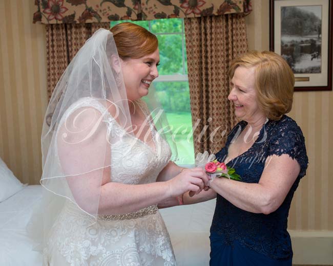 The Unicorn and The Horse