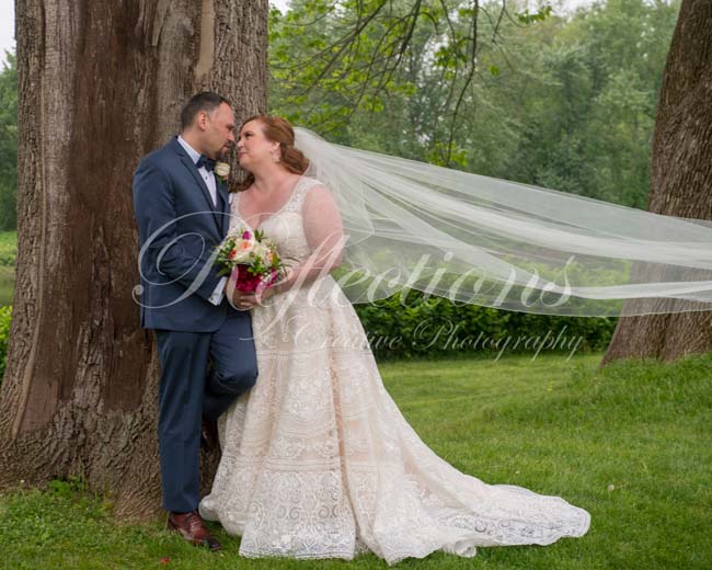 The Unicorn and The Horse