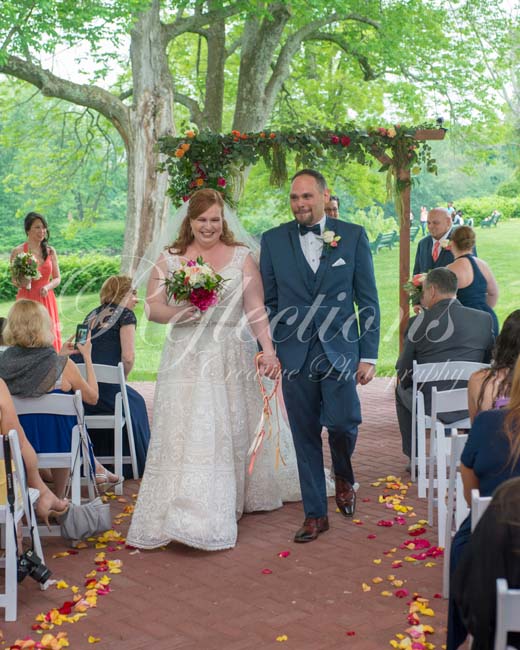 The Unicorn and The Horse