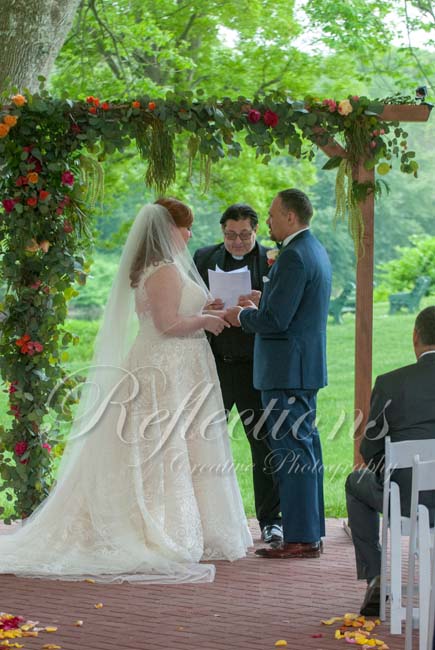 The Unicorn and The Horse