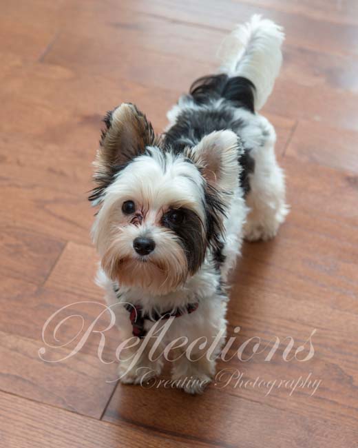 Possibly a little help from above!