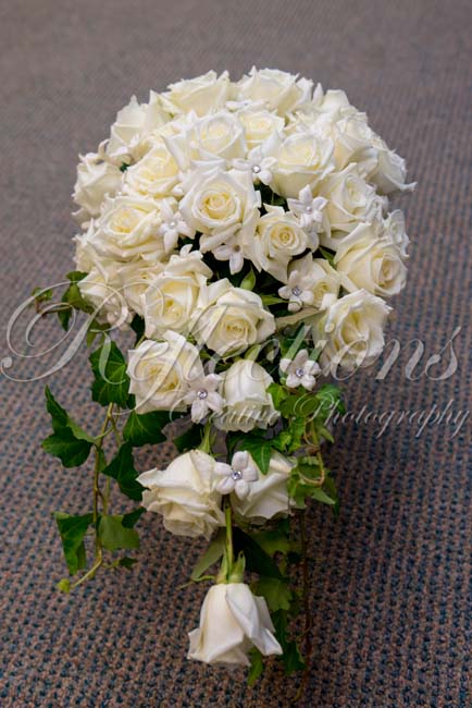 East Side, West Side, All Around the Town 