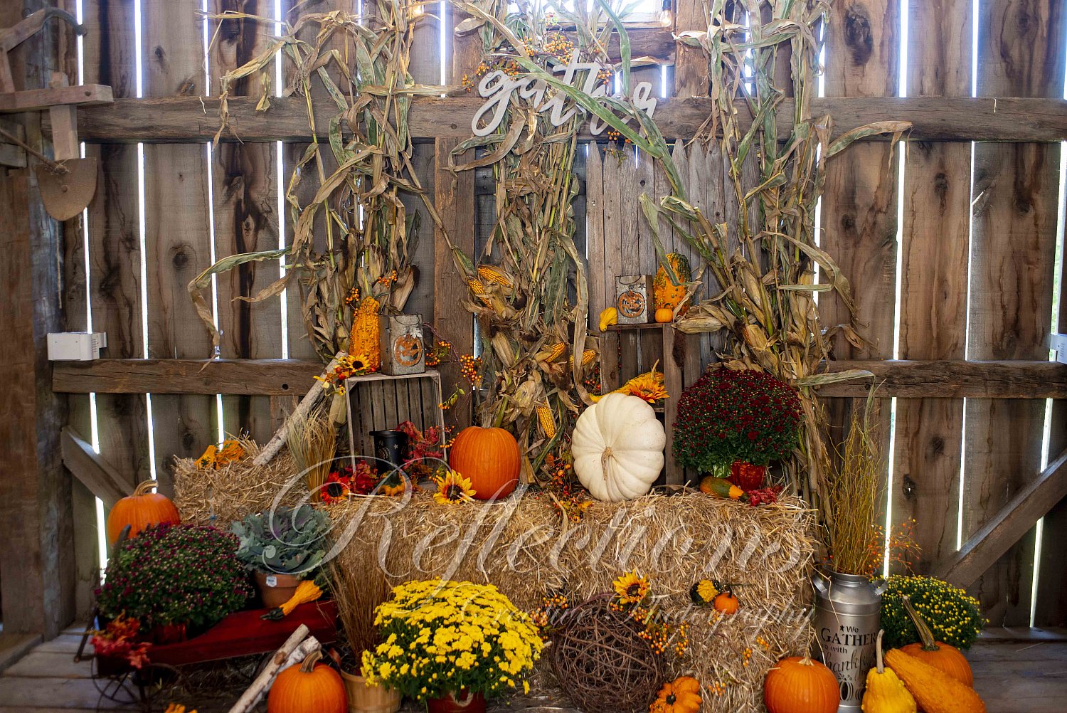 Twenty-Two Years of “I LOVE YOU’s”