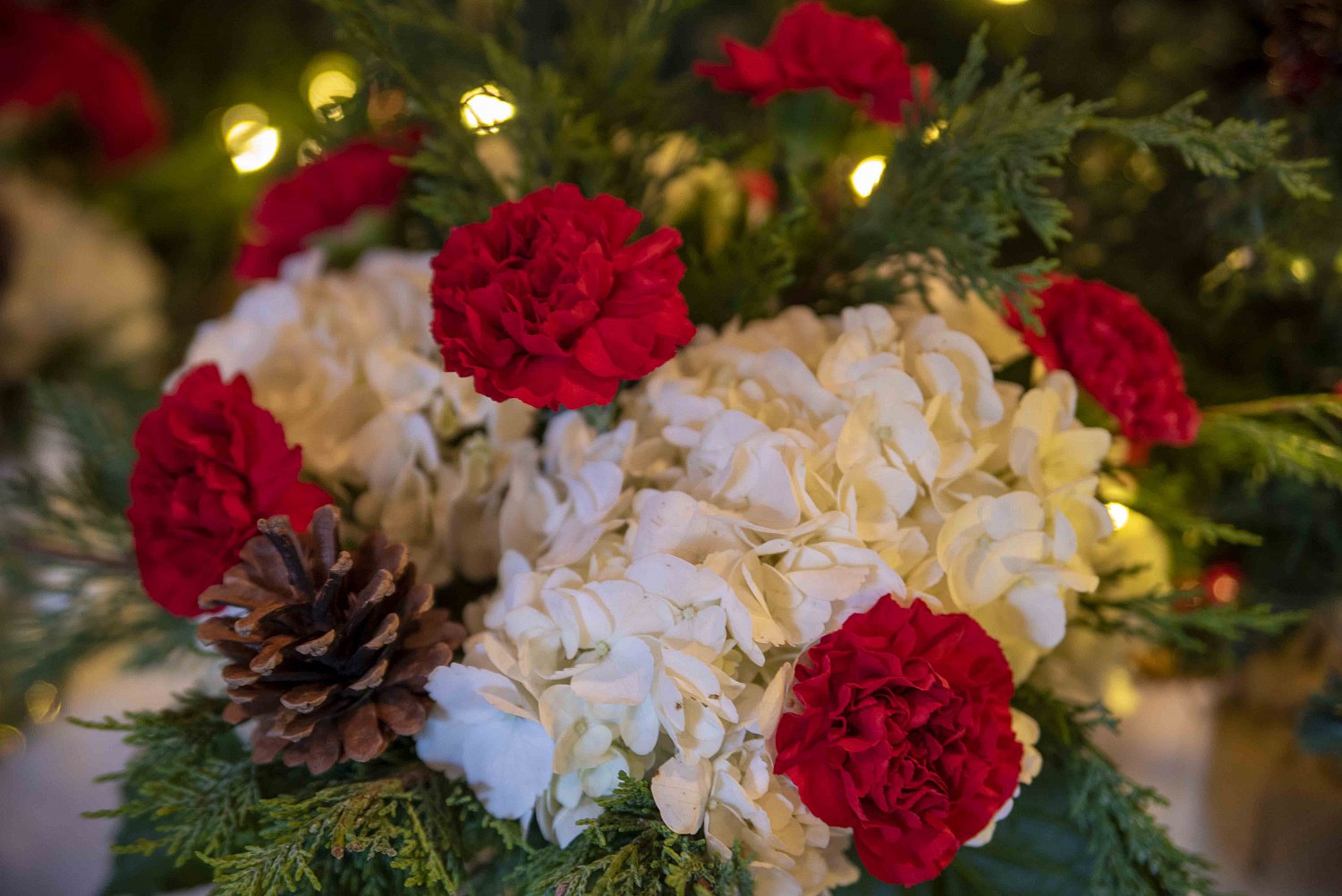 2 + 2 = A Married Family! 