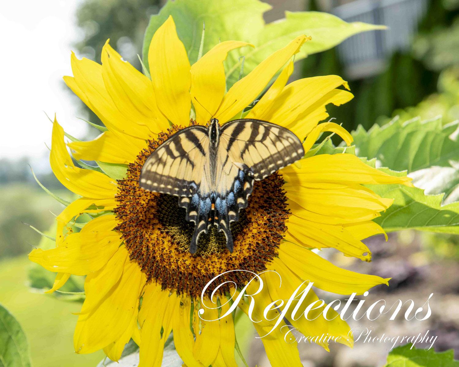 Not too long to wait!